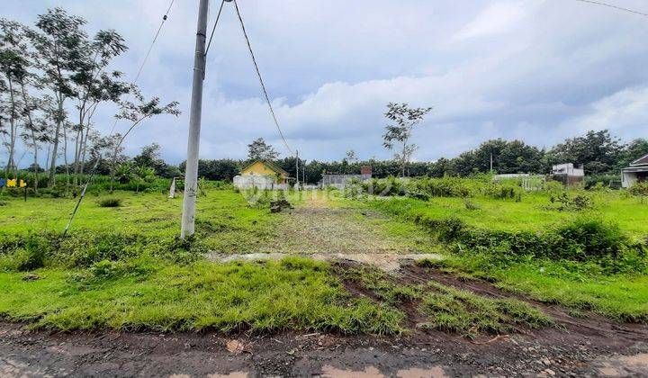 Dijual Cepat Tanah Saptorenggo Pakis Malang Murah B.u Dkt Bandara 2