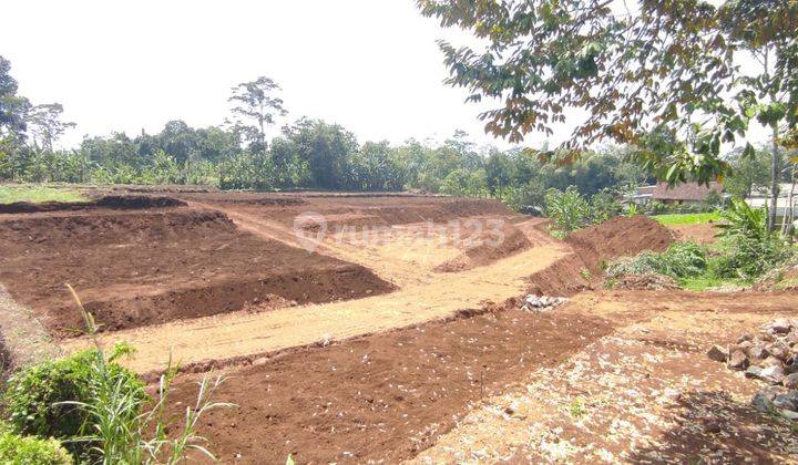 Tanah Kavling Jl. Tlogorejo Wonorejo Lawang Dkt Wisata Tlogoland 6