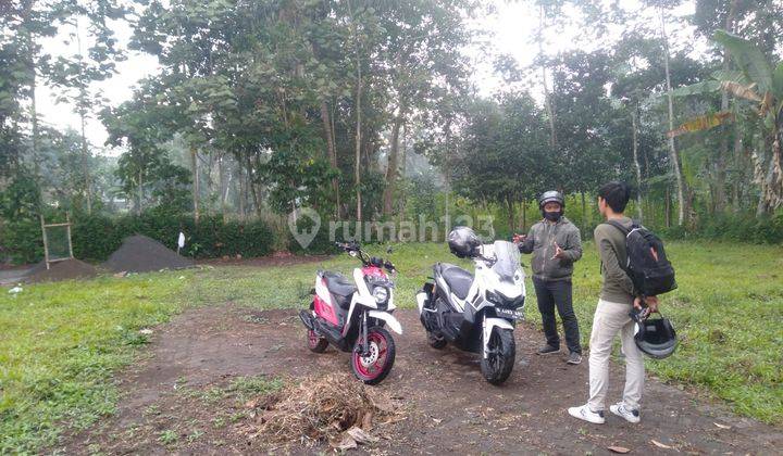 Tanah Kavling Murah Sumbersuko Tajinan Dkt Pabrik Rokok Mahayana 1