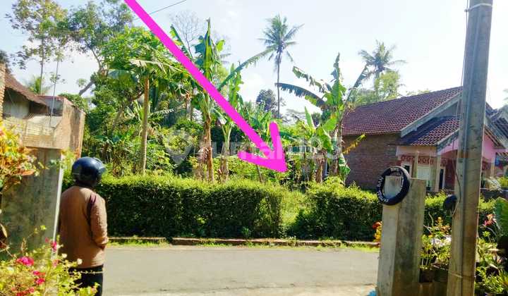 Tanah di Ngebruk Sumberpucung Malang Dijual Murah Cepat B.u 1
