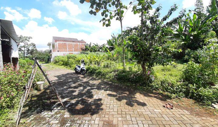 Tanah Terongdowo Tirtomoyo Pakis Malang Dijual Murah Cepat B.u 1