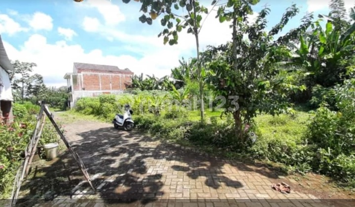 Tanah Terongdowo Tirtomoyo Pakis Malang Dijual Murah Cepat B.u 4
