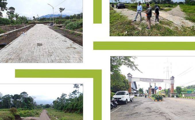  Dijual Tanah Kavling Murah Ketindan Lawang Malang View Gunung 2