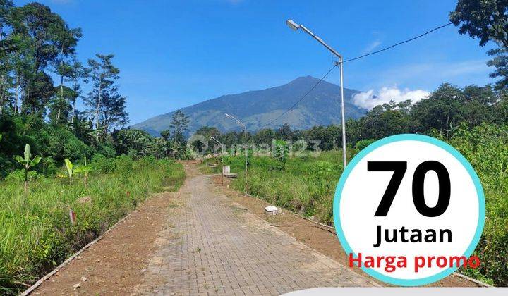 Promo Tanah Kavling Ketindan Lawang Malang View Gunung Arjuna 6