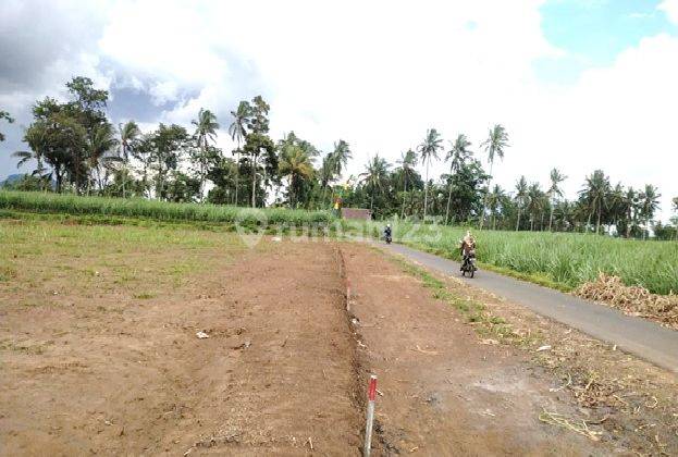 Tanah Kavling Murah Tristan Residence Permanu Pakisaji Malang 6