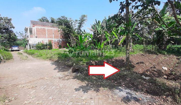 Dijual Tanah Murah Terongdowo Tirtomoyo Pakis Malang Cpt B.u Poll 2