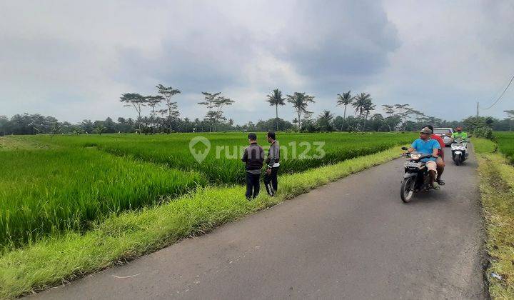 Tanah Lahan Sawah Hijau Curungrejo Kepanjen Dijual Murah L 1,1 Ha 2