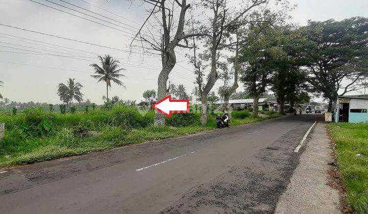 Dijual Tanah Murah Poros Jalan Kedungrejo Pakis Malang Cepat B.u 1