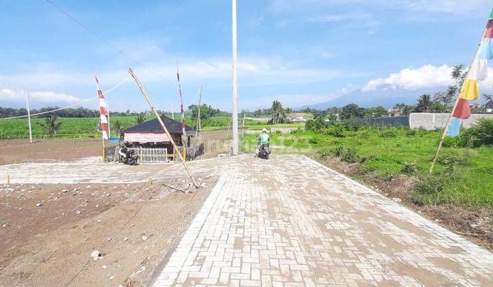 Tanah Kavling Murah Malang Klampok Singosari View Gunung Arjuna