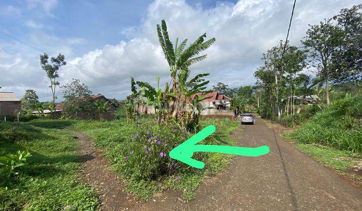 Tanah Murah Lawang Malang Sumberngepoh Dijual Cpt B.u Poll L336m2 2