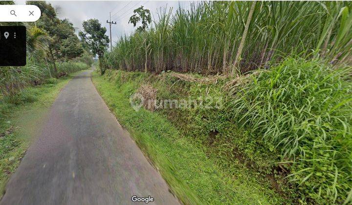 Tanah Poros Kenongo Jabung Malang Dijual murah cpt B.U L 2.911 m2 1