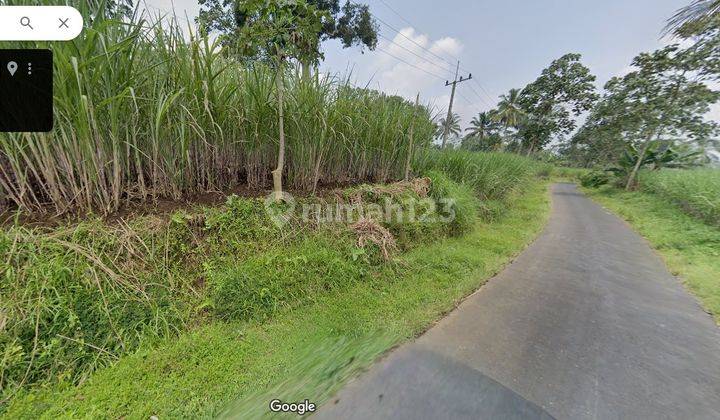 Tanah Poros Kenongo Jabung Malang Dijual murah cpt B.U L 2.911 m2 2