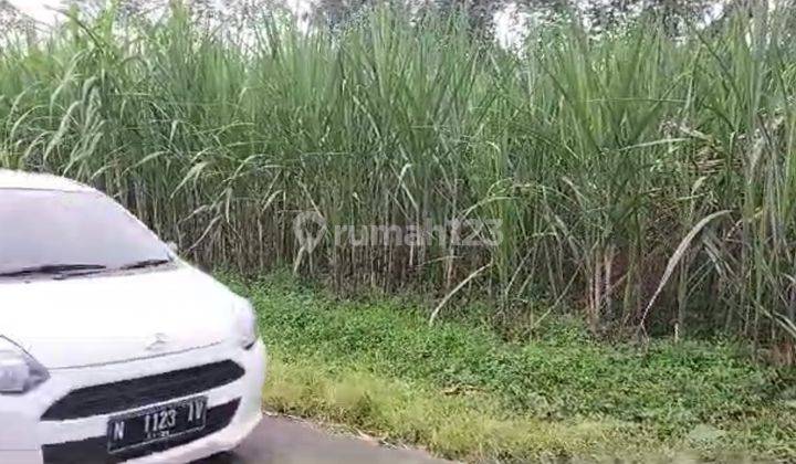 Tanah Poros Kenongo Jabung Malang Dijual murah cpt B.U L 2.911 m2 2