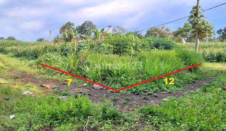 Tanah murah Asrikaton Pakis Bunut SHM Hook Dijual cepat B.U Poll 2