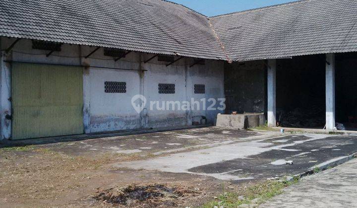 Tanah + Gudang Murah Jatirejo Pakisaji Dijual Cpt B.u Dkt Jl Raya 2