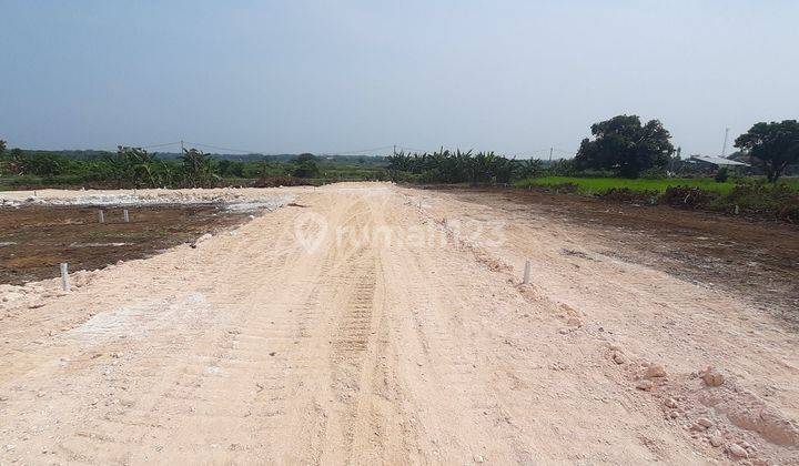 Tanah Kavling Murah SHM Banjarsari Manyar Gresik Siap Bangun 2