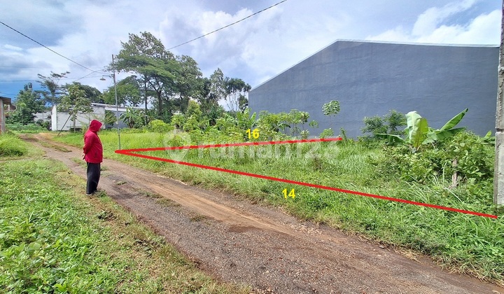 Tanah SHM Murah Randuagung Singosari Malang Dijual Cepat B.u Poll