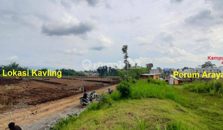 Tanah Kavling Murah Bulurejo Tirtomoyo Pakis Malang Mepet Araya 2