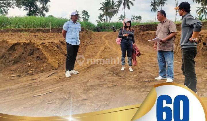 Tanah Kavling Malangsuko Tumpang Malang SHM Murah dkt pasar Induk