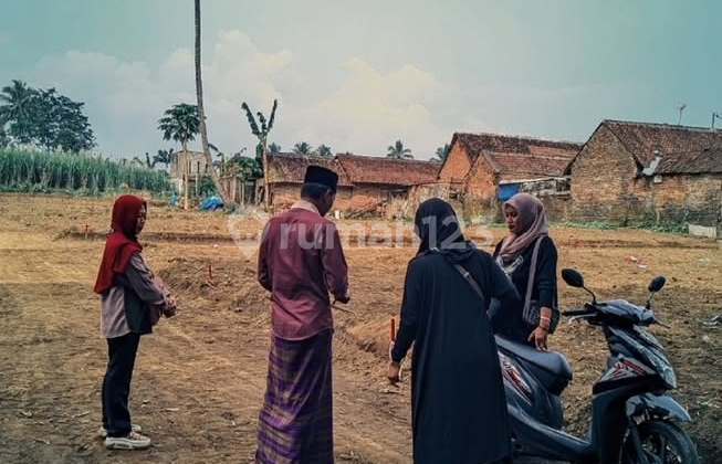 Promo Tanah Kavling Murah Tumpang Malang dkt Candi Jago Free SHM