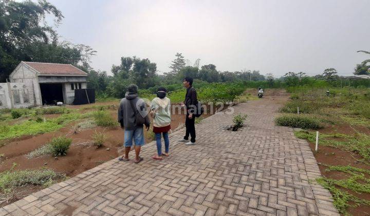 Obral Tanah Kavling Murah Kedungrejo Pakis Malang Dkt Pasar Sayur 2