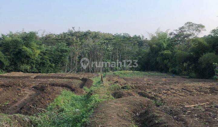 Tanah Murah Mulyorejo Sukun Malang Kota Jual Cpt B.u Akses Sepeda 2