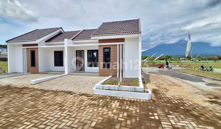 Rumah Subsidi Bedali Regency Singosari Bata Merah View Pegunungan 2