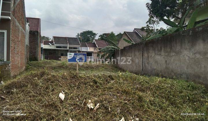 Tanah Murah Royal Tasikmadu Lowokwaru Malang Kota Dijual B.u Poll 1