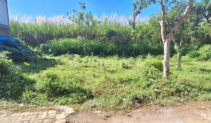 Tanah murah Tirtomoyo Pakis Malang Genitri Jual cpt B.U dkt Araya