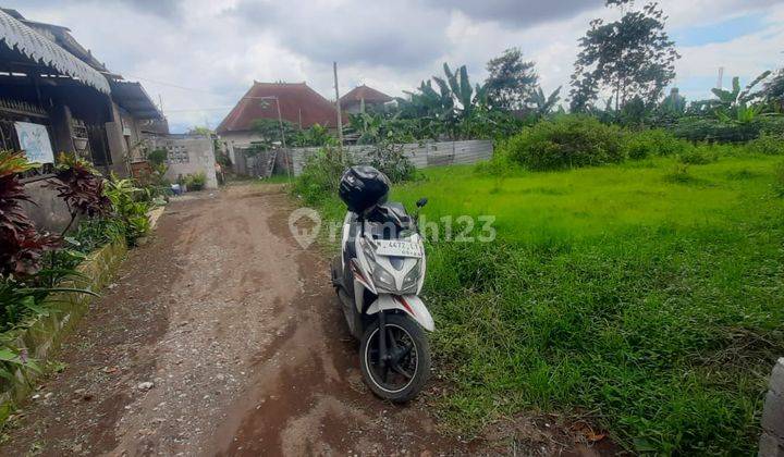 Tanah Murah Ardimulyo Singosari Malang Song2 Dijual Cepat B.u SHM 1