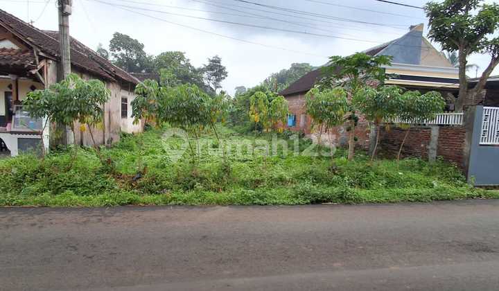 Tanah Murah Poros Terongdowo Tirtomoyo Pakis Dijual cpt B.U Poll