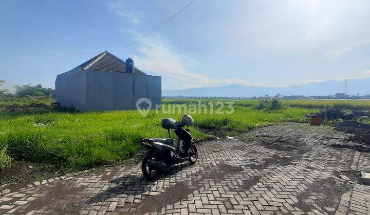 Tanah murah Mangliawan Pakis Malang Lowoksuruh Dijual cpt B.U Pol 2