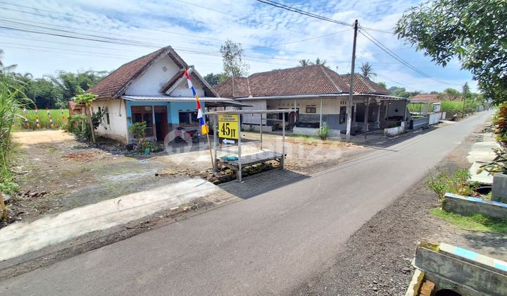 Promo Tanah Kavling Termurah Talok Turen Malang 50 Jt-An Promo Tanah Kavling Termurah Talok Turen Malang 50 Jt-An
