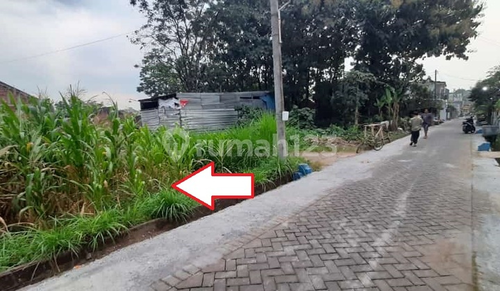 Tanah murah Bunut Asrikaton Pakis SHM Hook Jual cpt B.U dkt Toll Tanah murah Bunut Asrikaton Pakis SHM Hook Jual cpt B.U dkt Toll