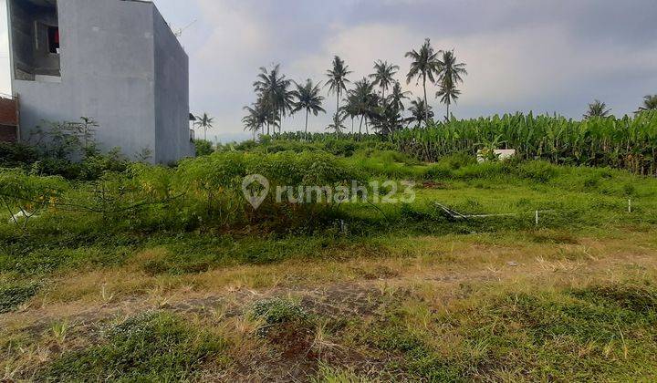 Tanah SHM Murah Sumberpasir Pakis Malang Jual Cpt B.u Dkt Jl Raya 2