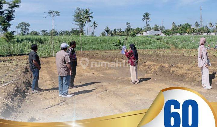 Tanah Kavling Malangsuko Tumpang Malang SHM Murah dkt pasar Induk