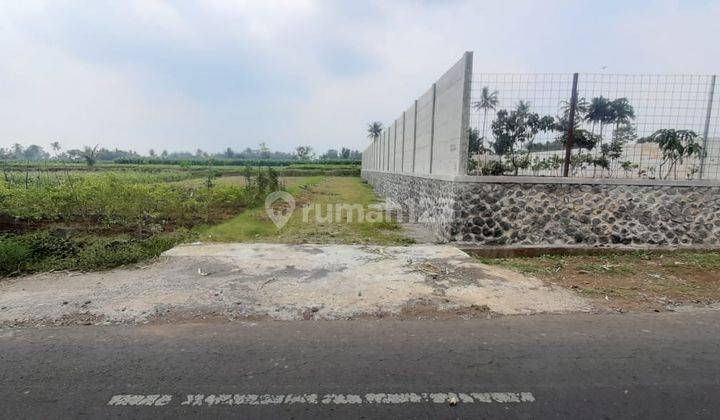 Promo Tanah Kavling Murah Malang Wringinsongo Tumpang Jalan Aspal 1