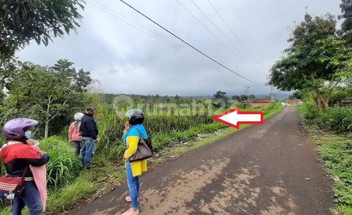 Tanah Murah Tumpangrejo Ngenep Karangploso Jual Cpt B.u L 4.270M2