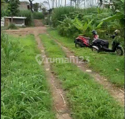 Tanah Murah Pakisjajar Pakis Malang SHM Dijual Cepat B.u Poll 2