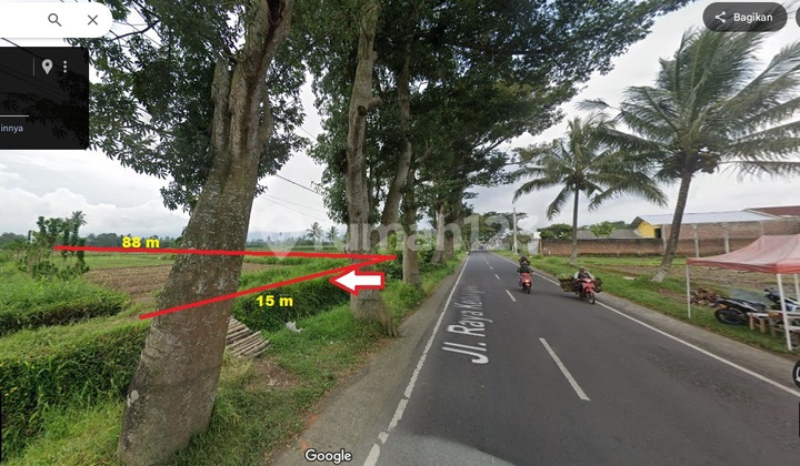Tanah Murah Poros Kedungrejo Pakis Malang Dijual Cpt B.U L 1322m2 Tanah Murah Poros Kedungrejo Pakis Malang Dijual Cpt B.U L 1322m2