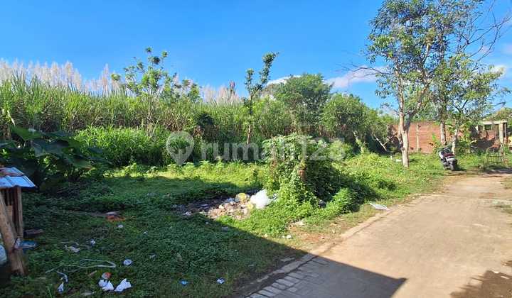 Cheap Land in Genitri, Tirtomoyo, Pakis for Sale Fast B.U. Poll Near Araya Cheap Land in Genitri, Tirtomoyo, Pakis for Sale Fast B.U. Poll Near Araya