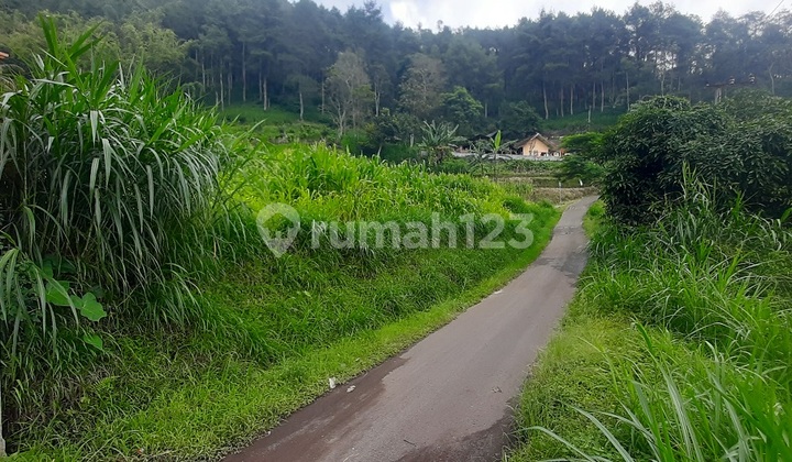 Tanah Gunungsari Bumiaji Batu Murah Dijual Cepat View Pegunungan Tanah Gunungsari Bumiaji Batu Murah Dijual Cepat View Pegunungan