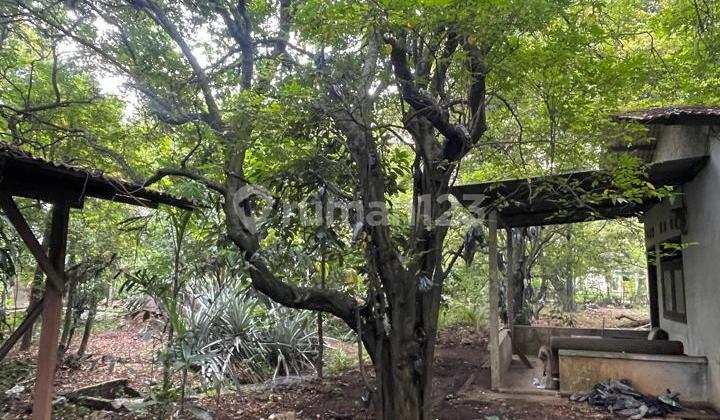 Tanah Ada Bangunan Rumah Lokasi Bagus