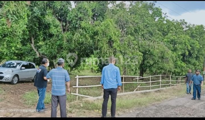 Tanah Cocok Untuk Perumahan Di Kertajati Dekat Bandara