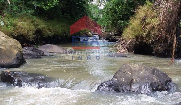 Penawaran Spesial Lahan Berupa Kebun,sawah,kolam Ikan Dan Bangunan Dengan View Pegunungan Raya Mandalawangi Kab Pandeglang Cocok Untuk Villa,atau Resto  1