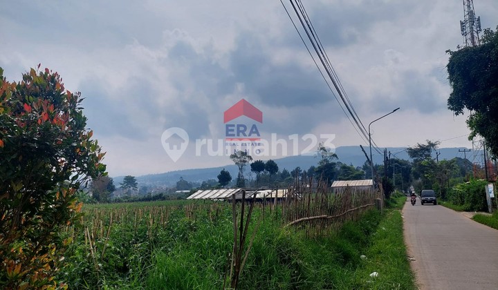 Kavling Desa Cikahuripan Lembang