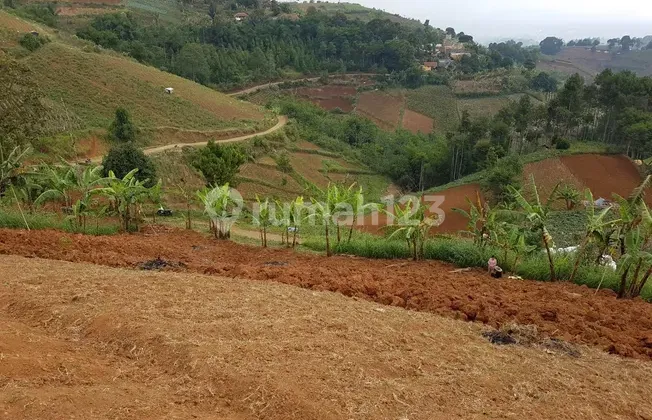 Dijual Tanah di Dago Pakar Pinggir Jalan Dekat Dago Pakar Resort Dijual Tanah di Dago Pakar Pinggir Jalan Dekat Dago Pakar Resort