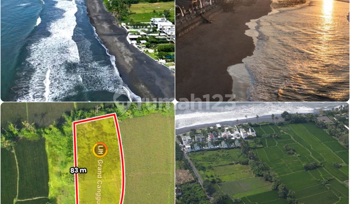 Cheap Land in the Keramas Beach Tourism Zone Cheap Land in the Keramas Beach Tourism Zone