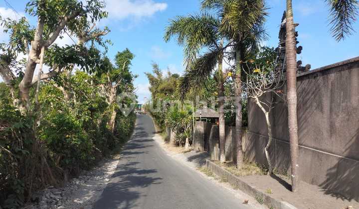 Tanah Murah Jl Langui Ungasan Dekat Pantai