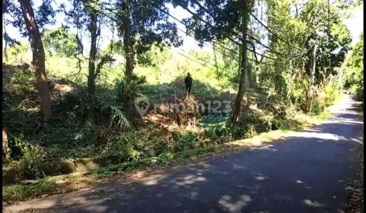 Tanah Premium Pantai Pering Saba Gianyar 2